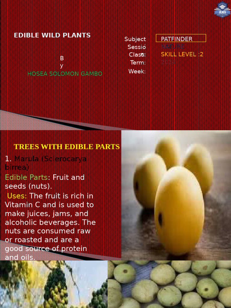 Edible Wild Plants | PDF
