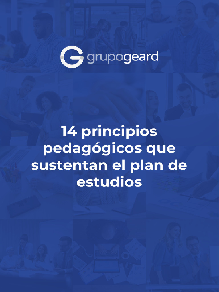 14 Principios Pedagógicos Que Sustentan El Plan de estudios-PP009.1 | PDF