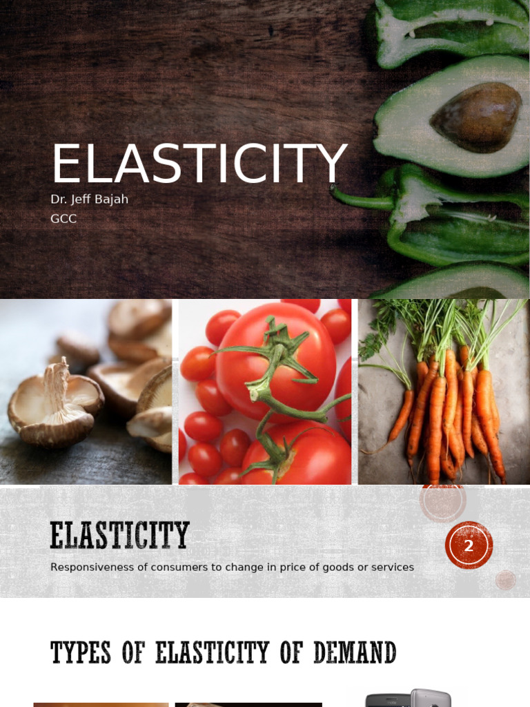 Elasticity Chapter+5 | PDF