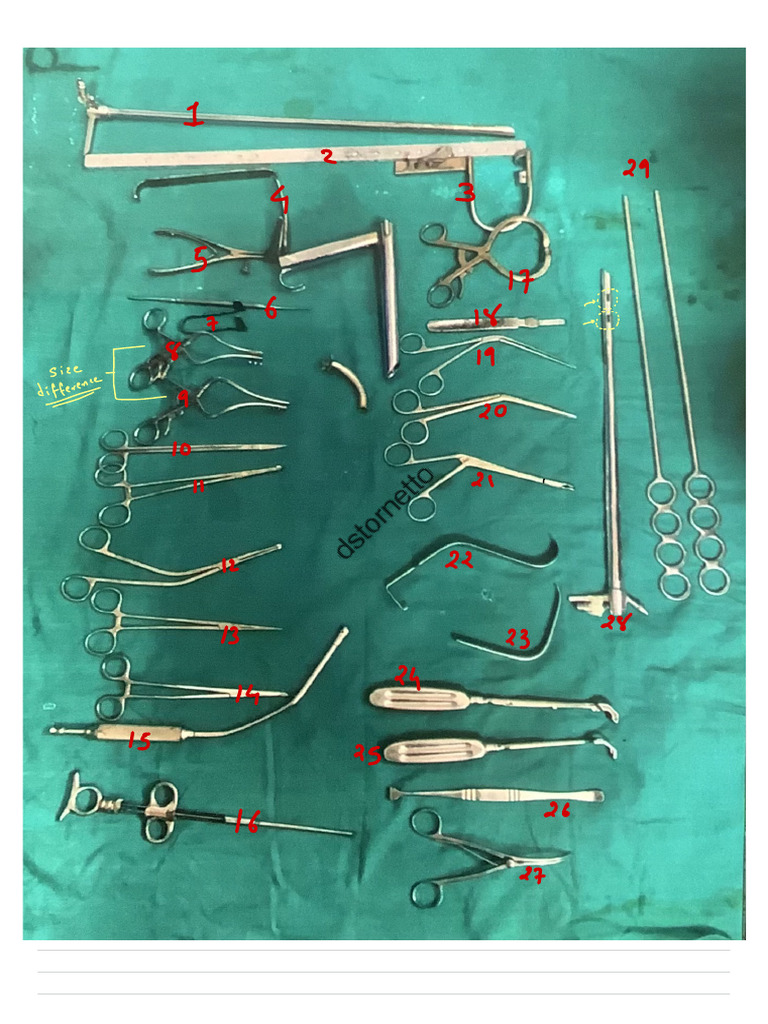 ENT Instrument 2.0 | PDF