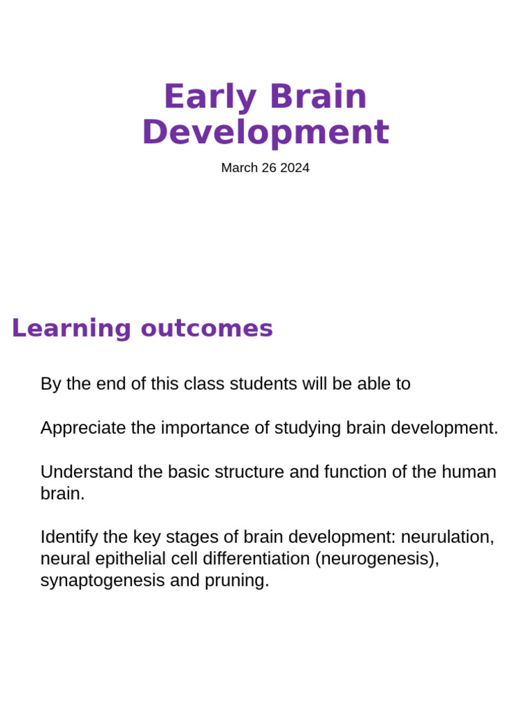 Early Brain Development Lecture (Student Edition) | PDF