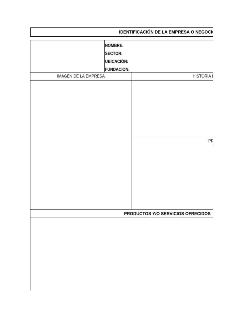 Estructura Base Modelo Rse Pdf