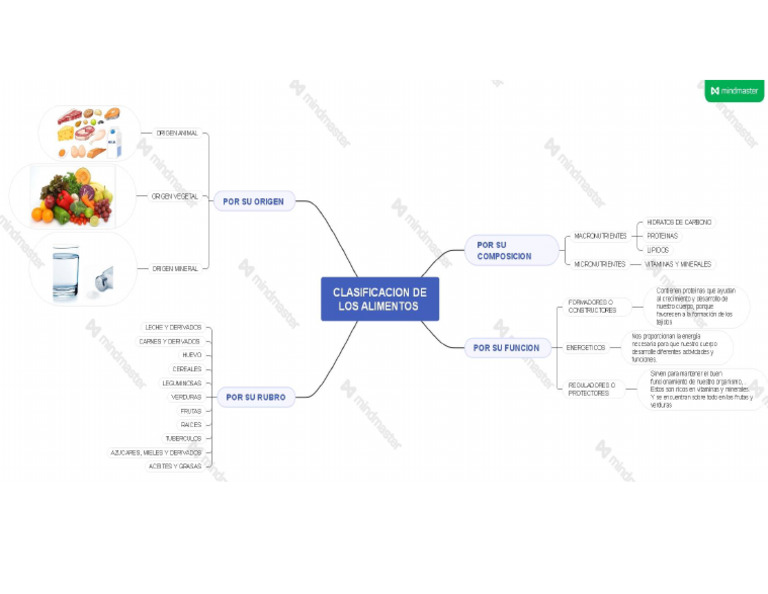 Mapa Mental Clasificacion de Los Alimentos | PDF