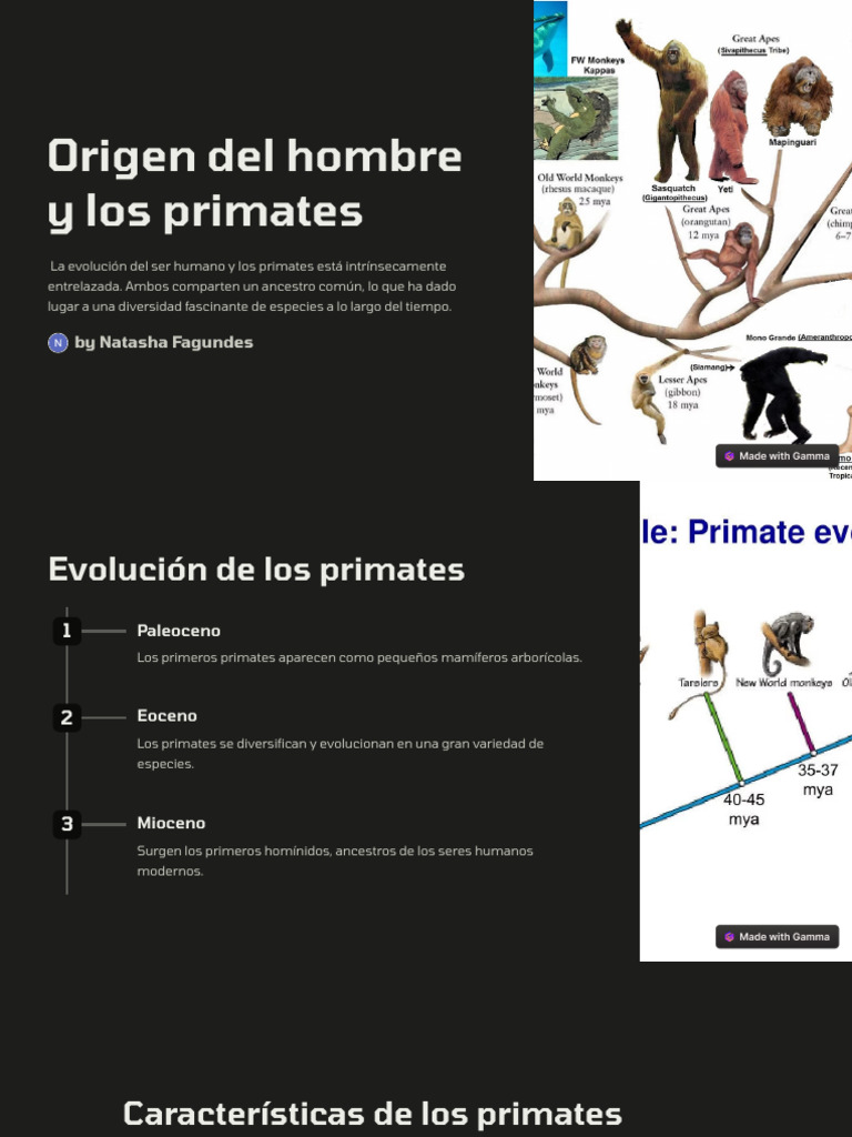 Origen Del Hombre y Los Primates | PDF