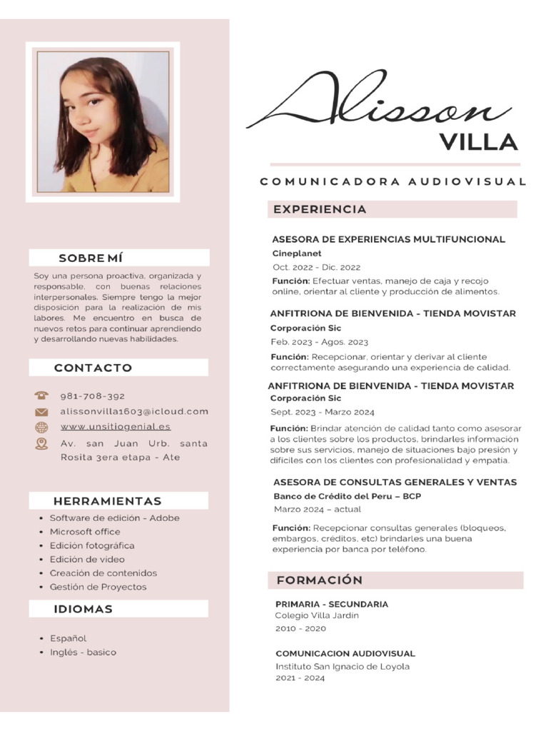 Modelo de CV | PDF