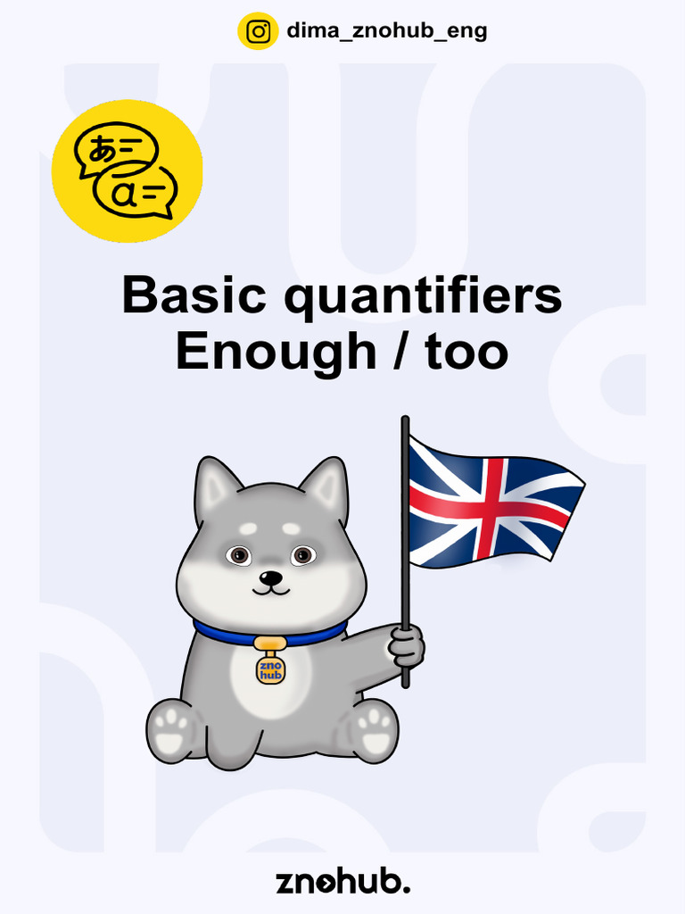 Basic Quantifiers Enough / Too | PDF