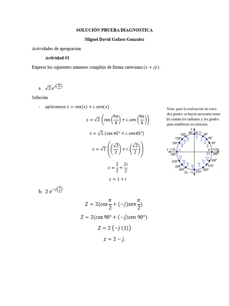Pruba diagnostica pdf