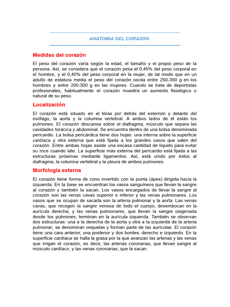 Anatomia Del Corazon Pdf