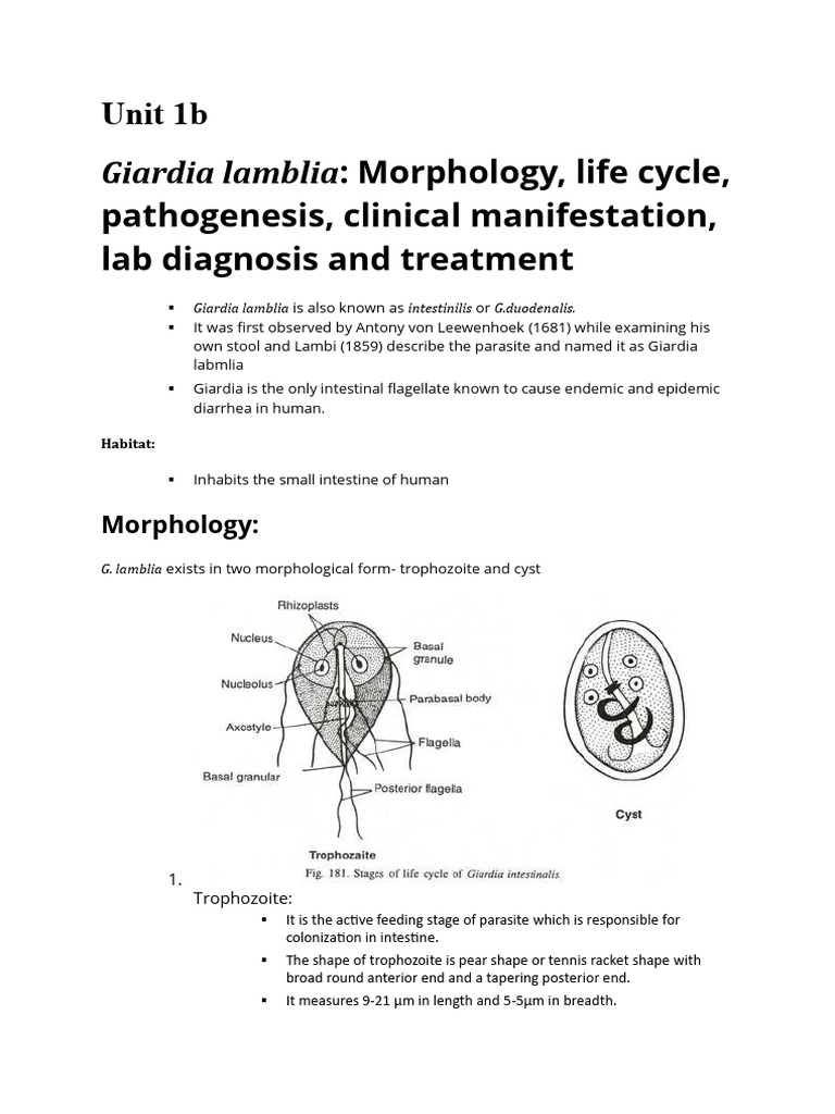 Final Giardia Lamblia | PDF