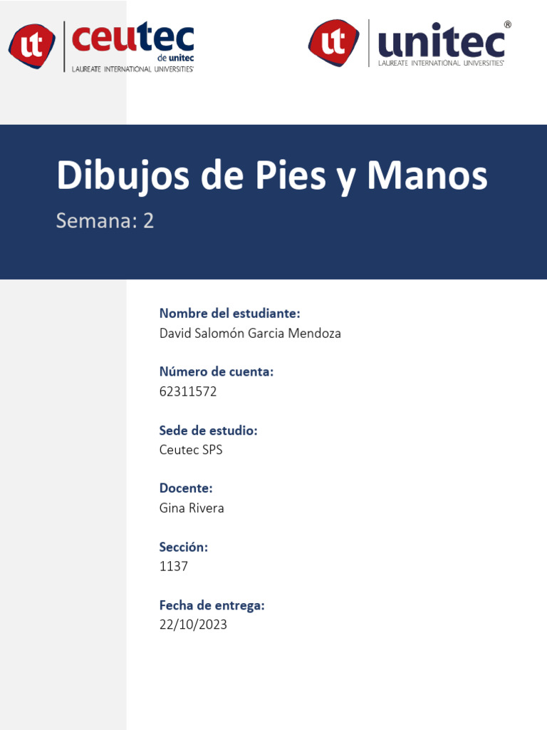 Dibujo de Pies y Manos | PDF