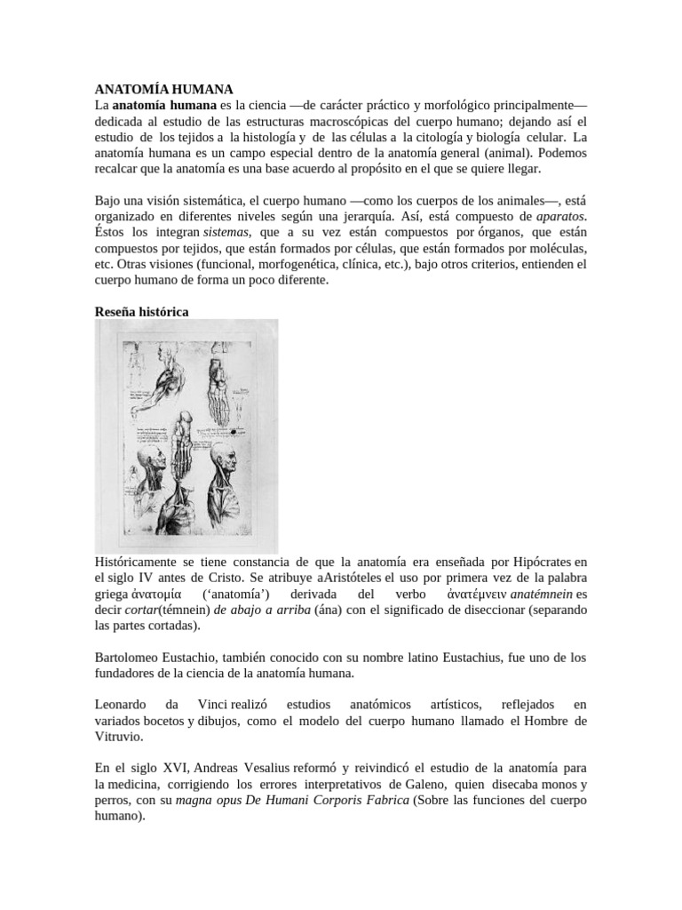 Anatomía Humana | PDF