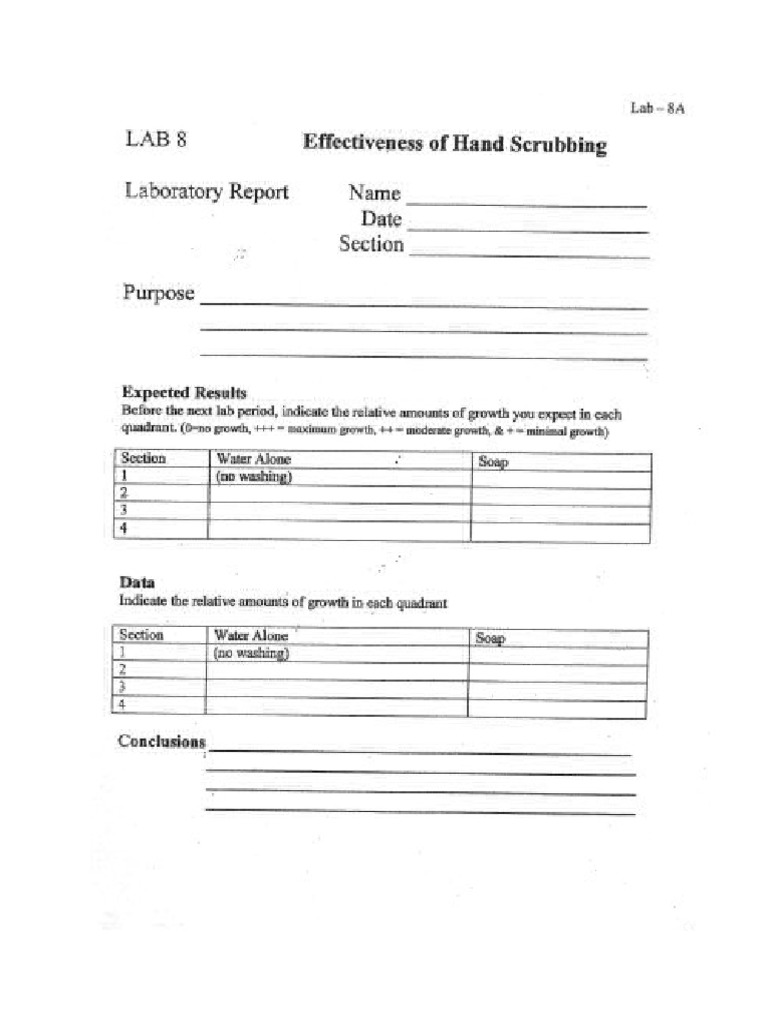 Micro Lab 8 Report Form | PDF