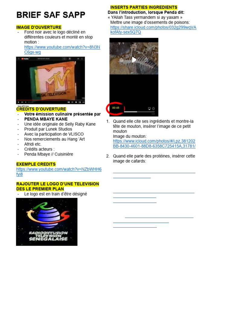 Brief Saf Sap | PDF