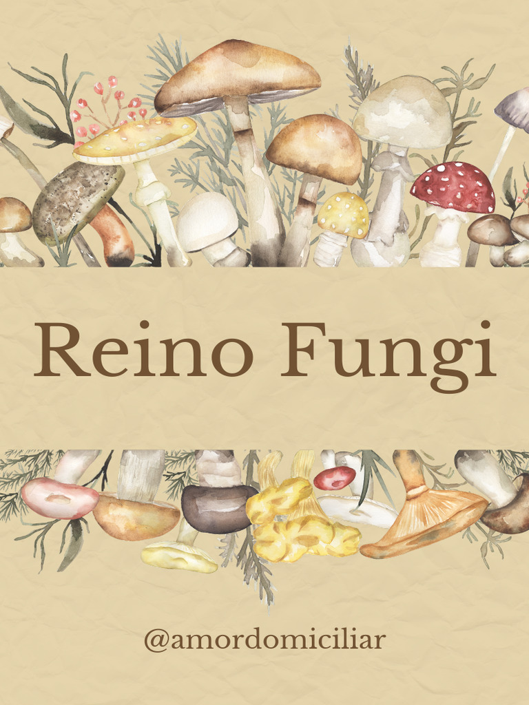 reino fungi | PDF