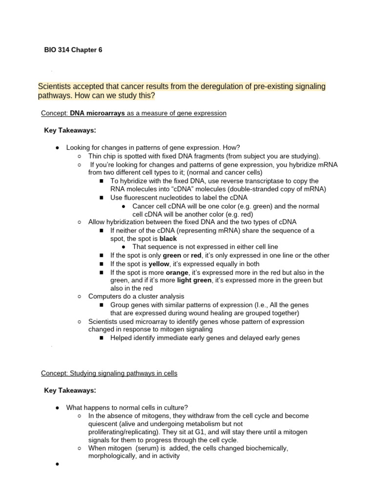 Chapter 6 Notes (Updated) | PDF