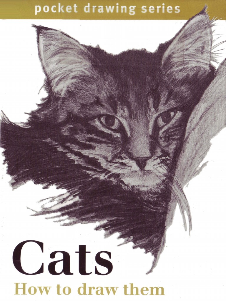 Cats How to Draw Them