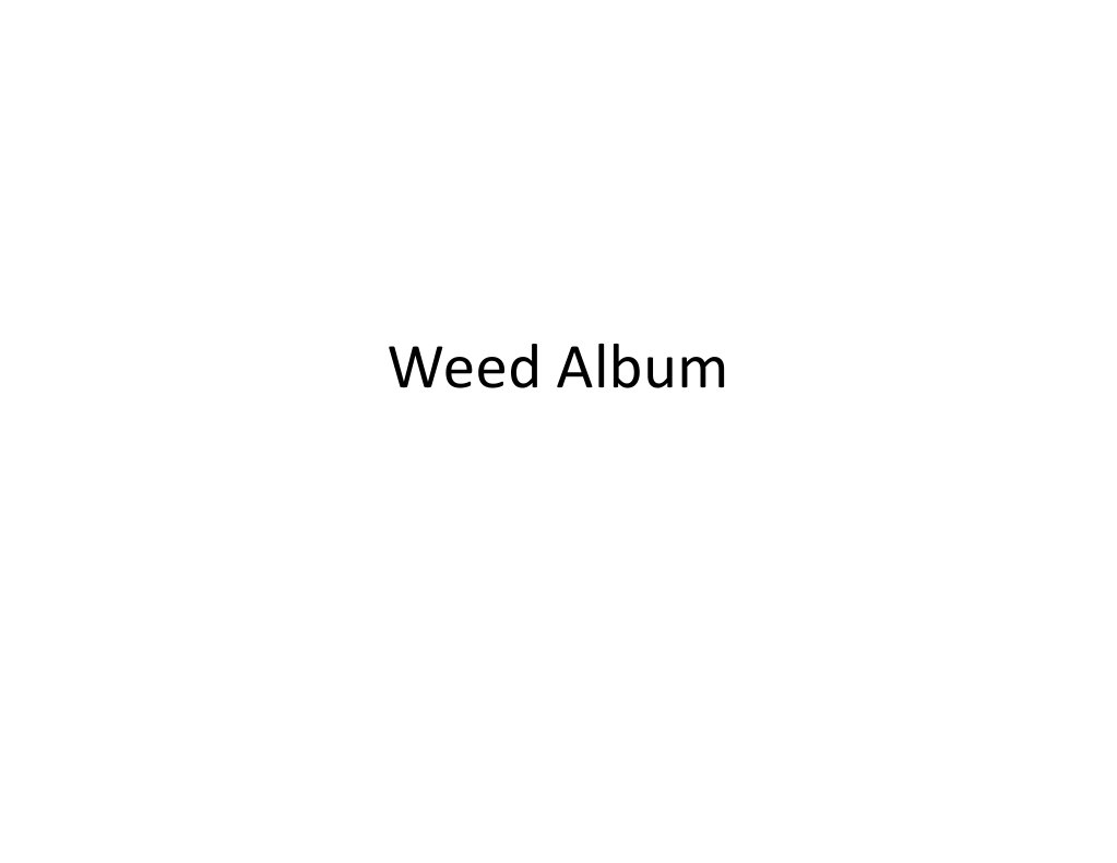 Weed Album PDF