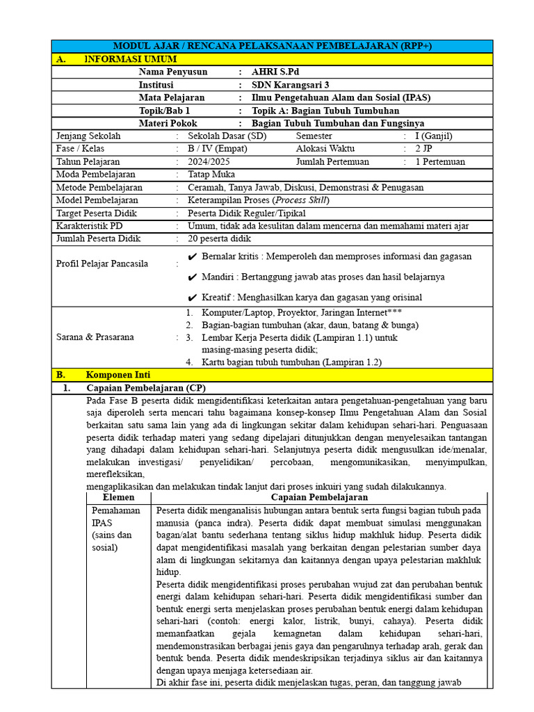 Process Skill | PDF