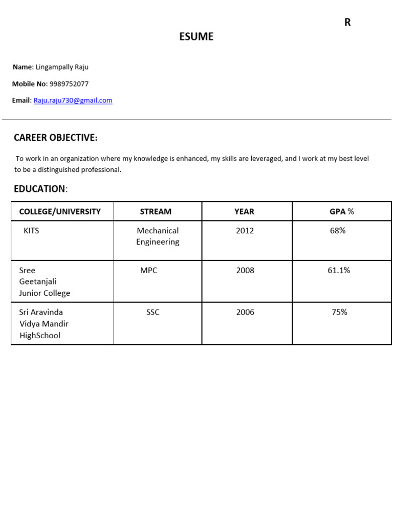 Raju Resume | PDF