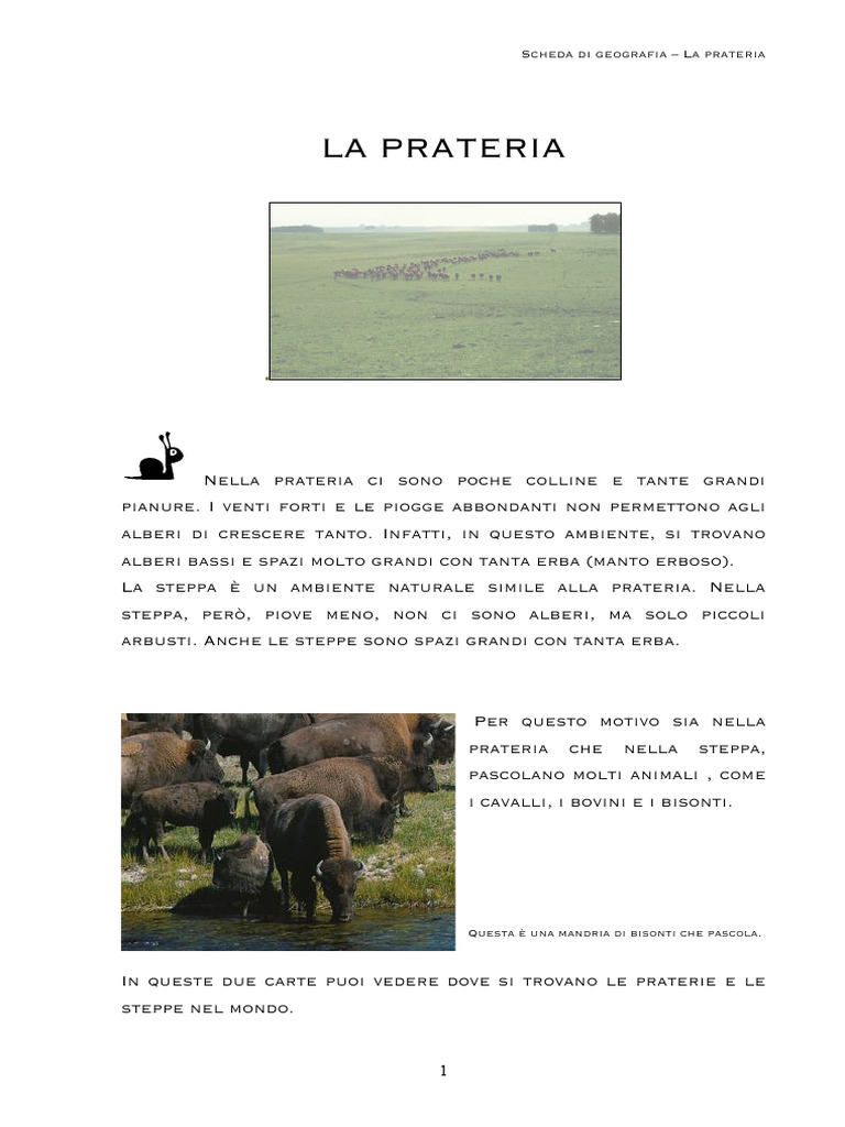 La Prateria | PDF