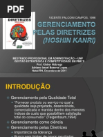 Gerenciamento Pelas Diretrizes (Hoshin Kanri)3