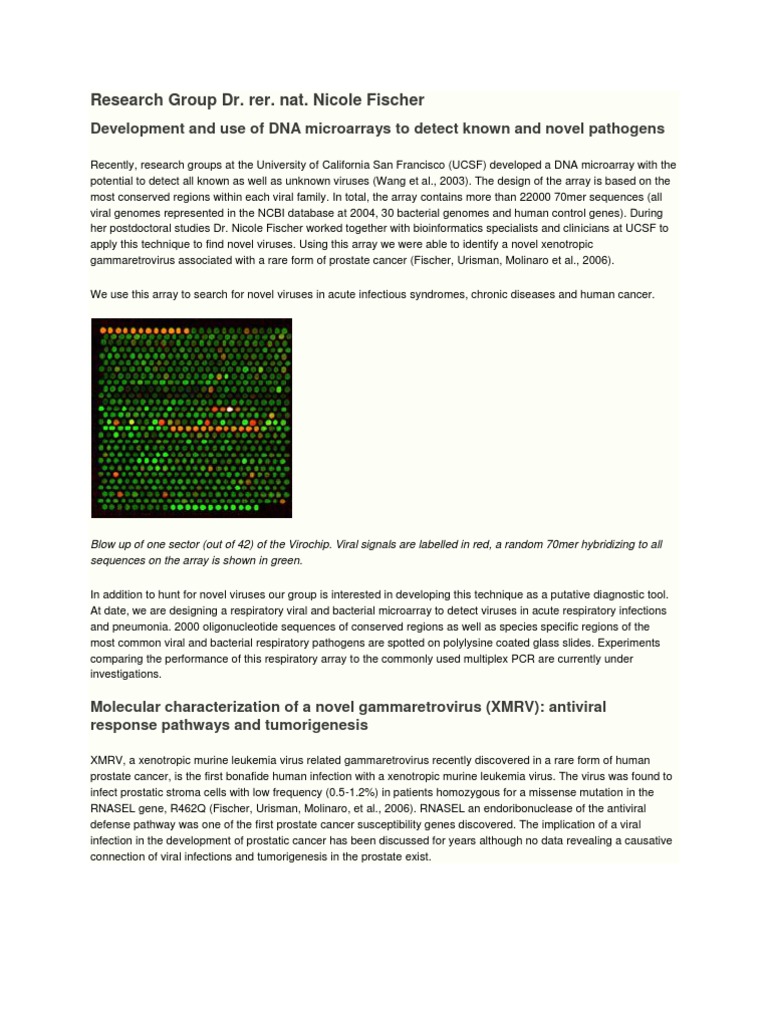 Research Group Dr. Rer. Nat. Nicole Fischer: Development and Use of DNA ...