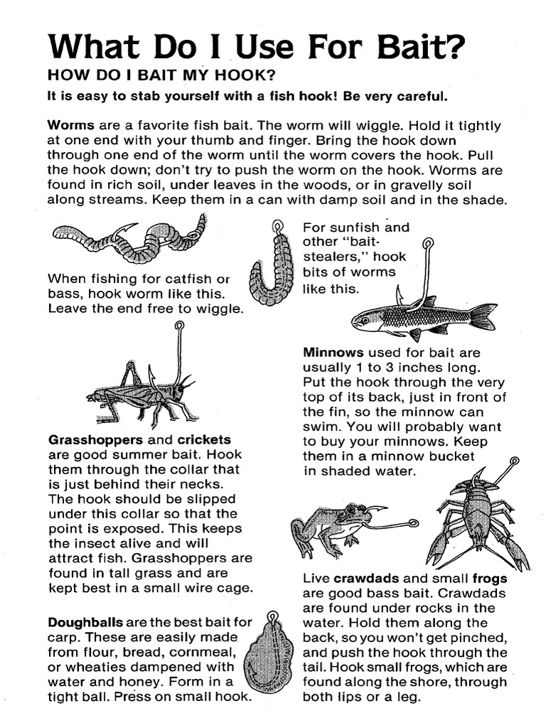 Beginner Bait-Guide | PDF