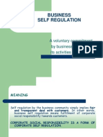 Business Self Regulation