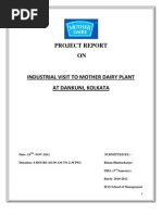 Download Marketing Strategy of Mother Dairy by Suji Pranav SN76650128 doc pdf