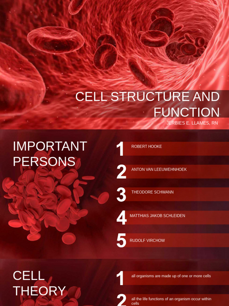 Pres 4 Cell Structure and Function | PDF