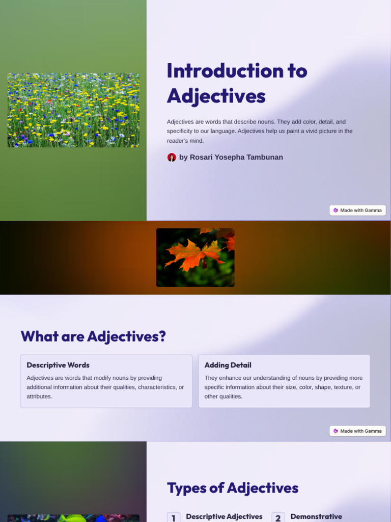 Introduction To Adjectives | PDF