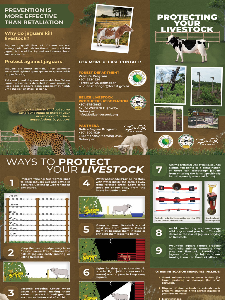 Livestock | PDF