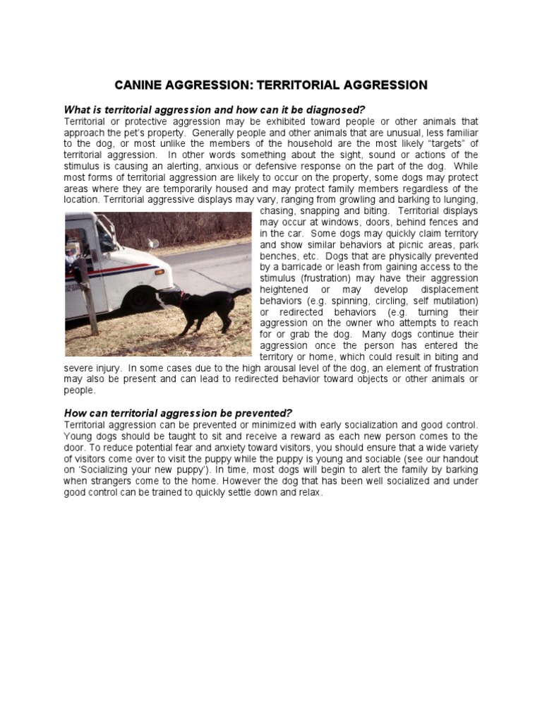 Canine Aggression - Territorial | PDF | Dogs | Aggression