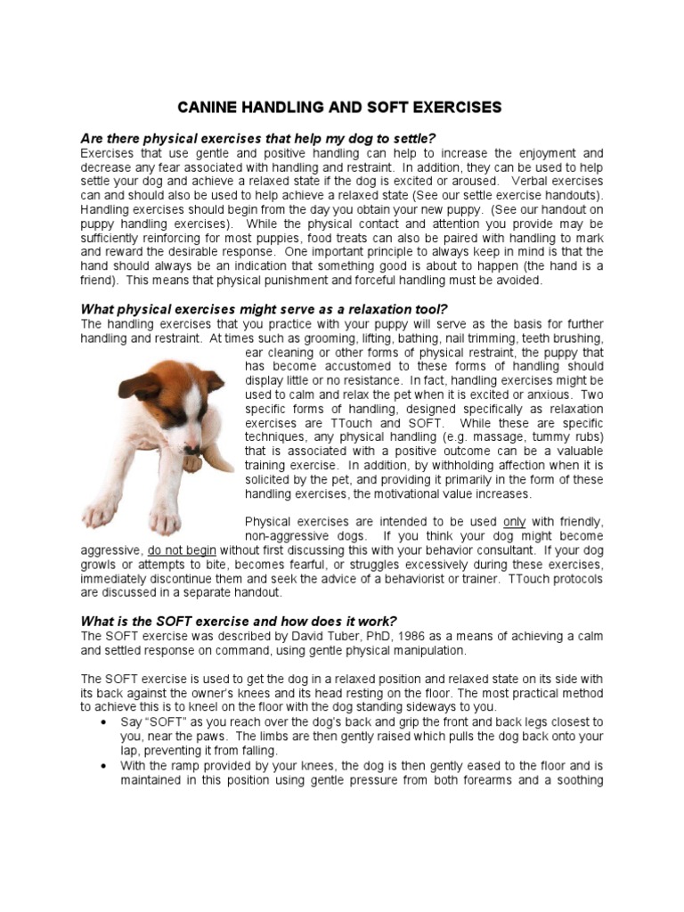 Canine Handling and SOFT Exercises PDF Dogs Relaxation (Psychology)