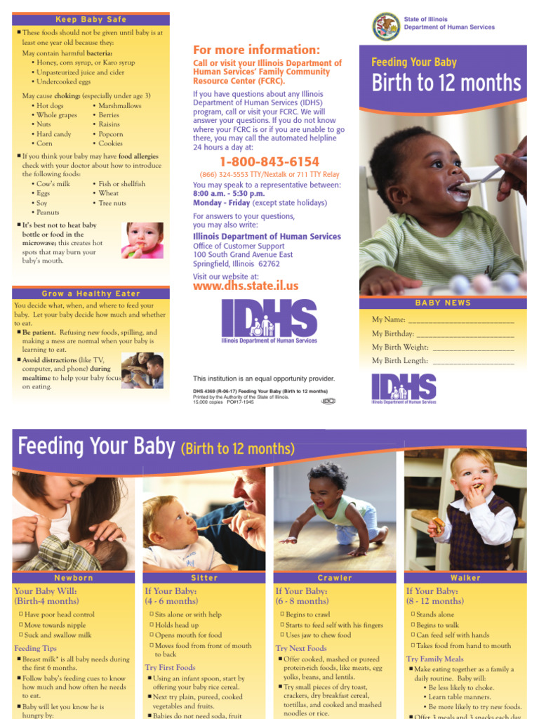 Feeding Your Baby 0-12mo (E) | PDF