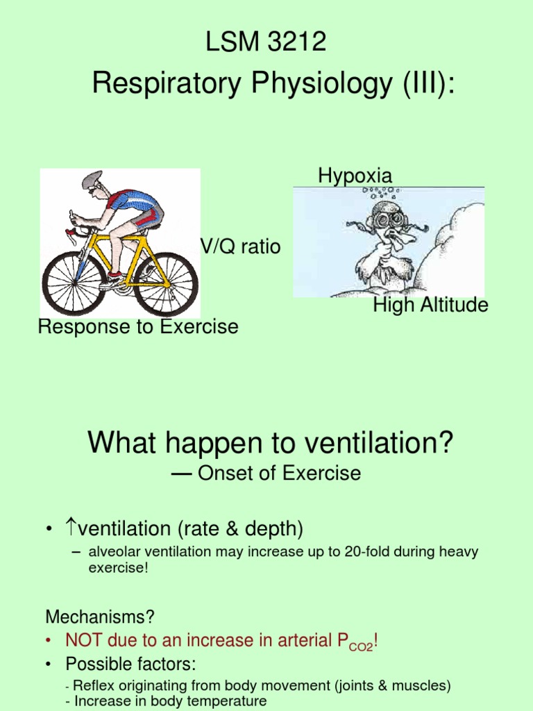 Respiratory Physiology (III) :: Hypoxia | PDF | Lung | Hypoxia (Medical)