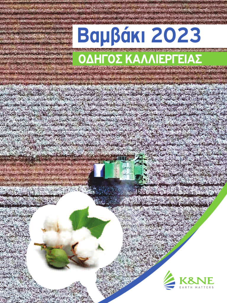 Bambaki 2023 Digital Pdf