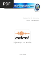 Segmentação de Mercado - Colcci
