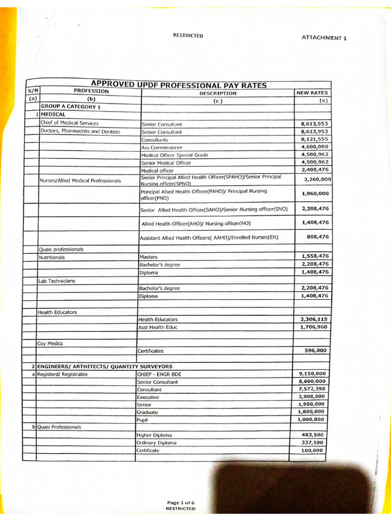 Professional Pay Rates | PDF