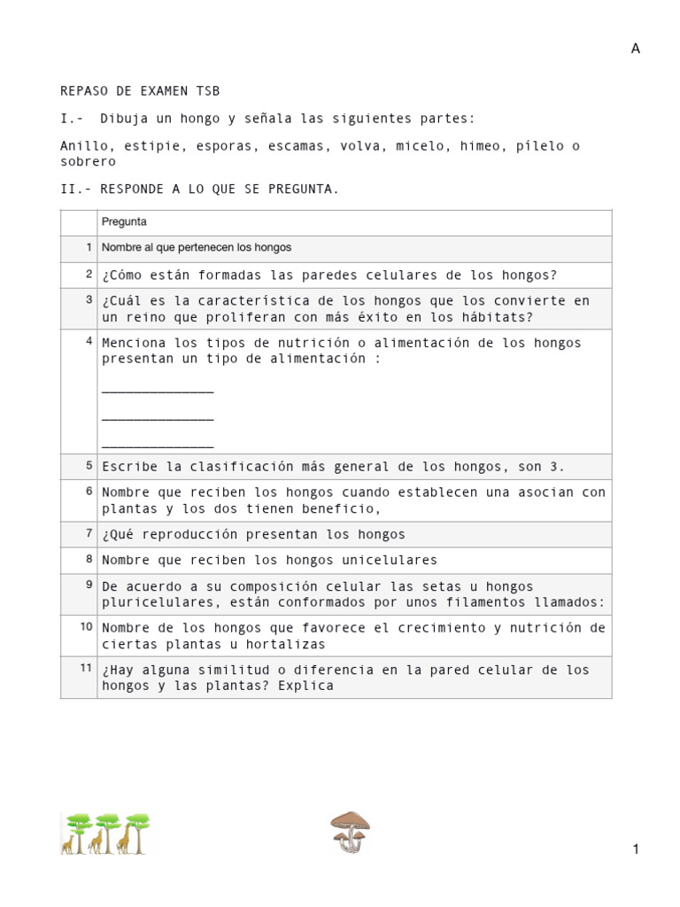 Repaso Examen TSB | PDF