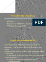  Multimedia Databases
