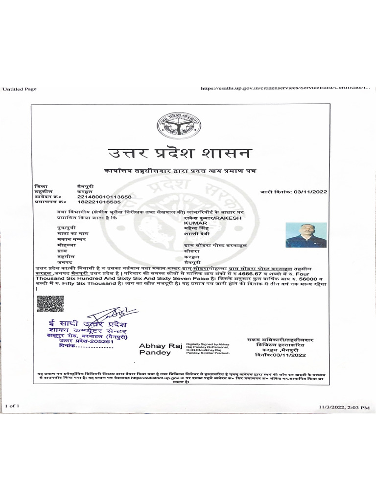 PDF Document 3 | PDF