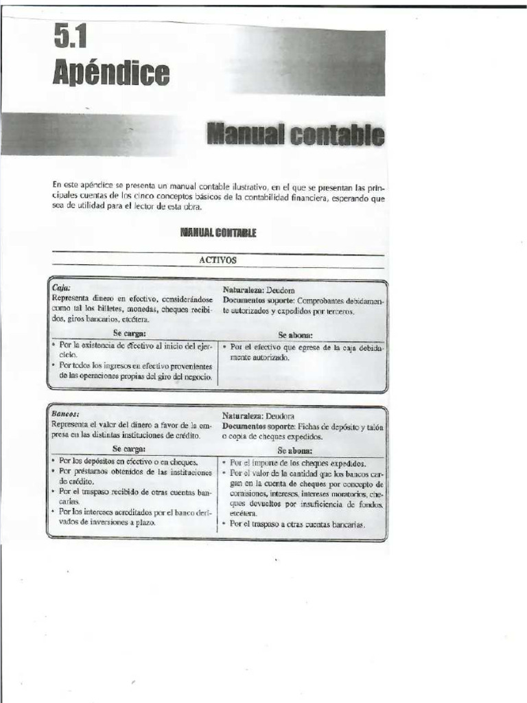 PDF Manual Contable - Compress | PDF
