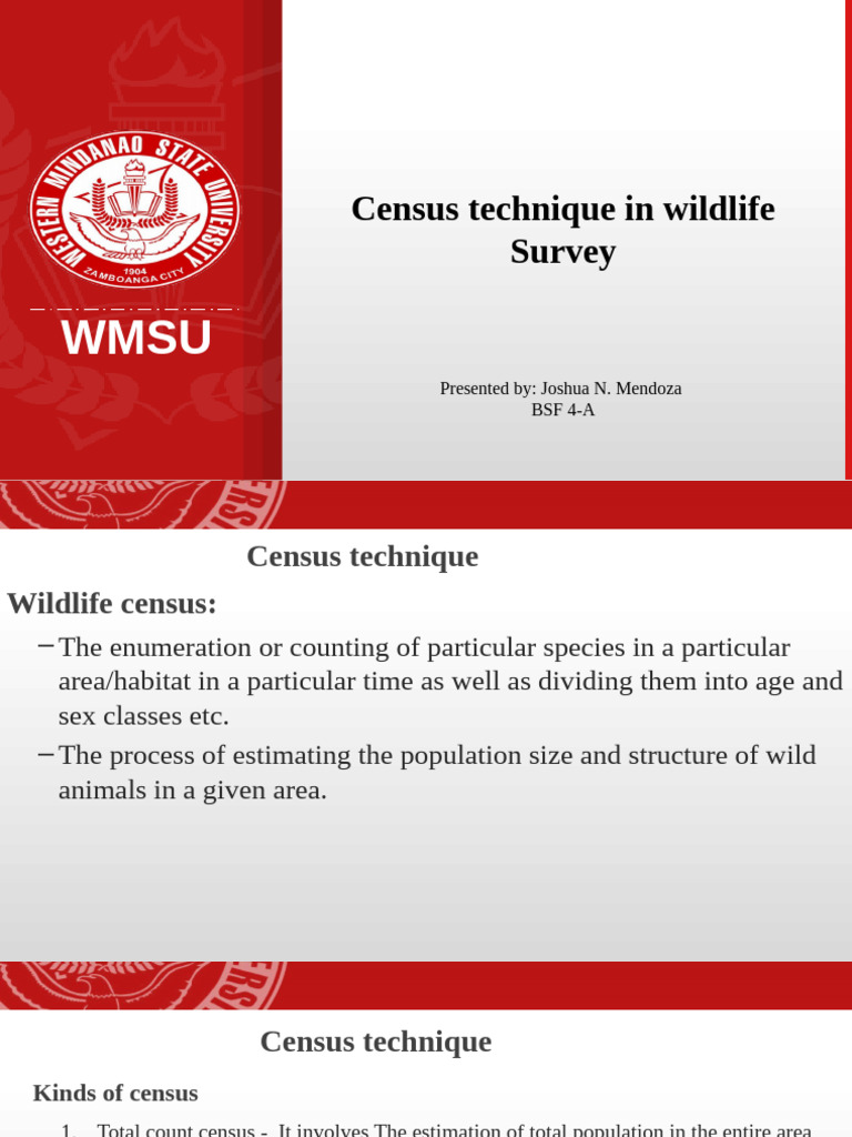 Census Technique Joshua Mendoza | PDF