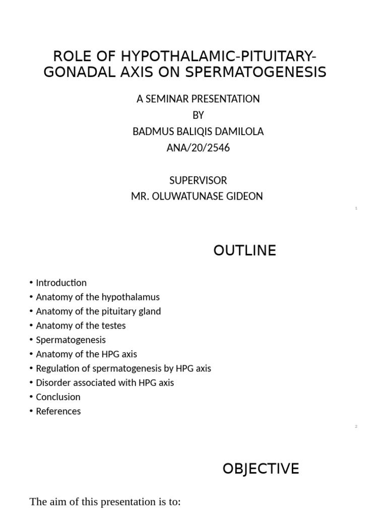Seminar Presentation | PDF