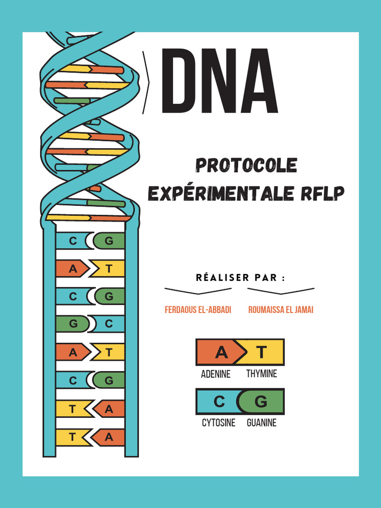 blue-colorful-fun-dna-life-science-poster-pdf