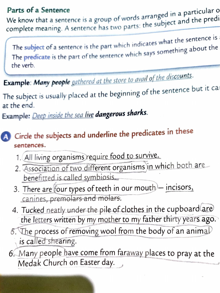 Meaning Of Sentences Generator
