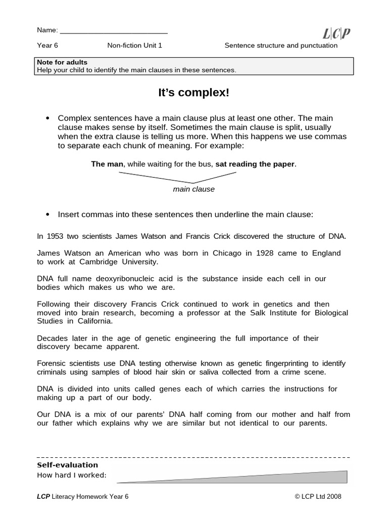Year 6 Sentence Structure Guide | PDF