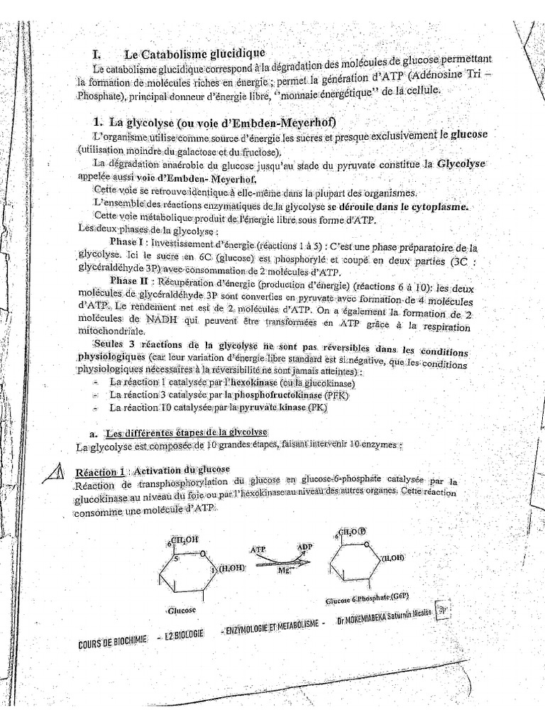metabolisme-pdf