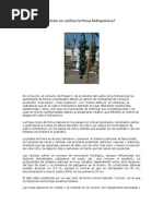 Espinaca Hidropónica De Agua Pdf